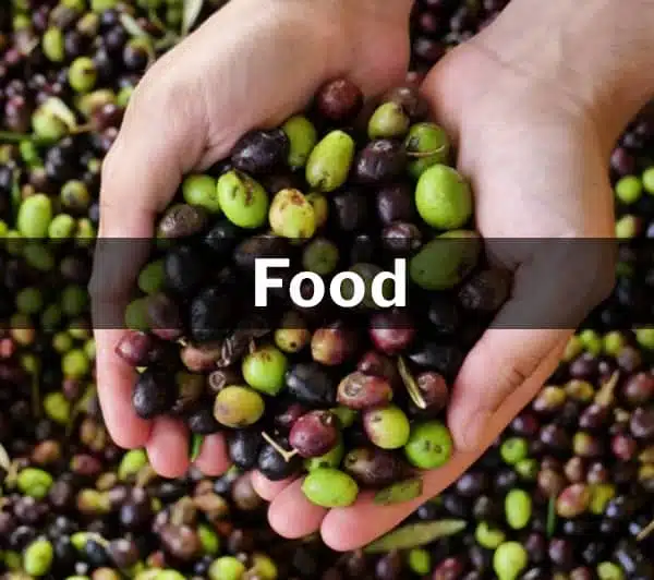 Food technology and FMCG life sciences consultancy Netherlands
