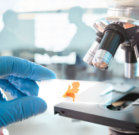 Life sciences research environment in the Netherlands, symbolizing innovation, precision, and advanced scientific work.